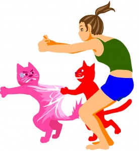 cat