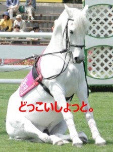 座る